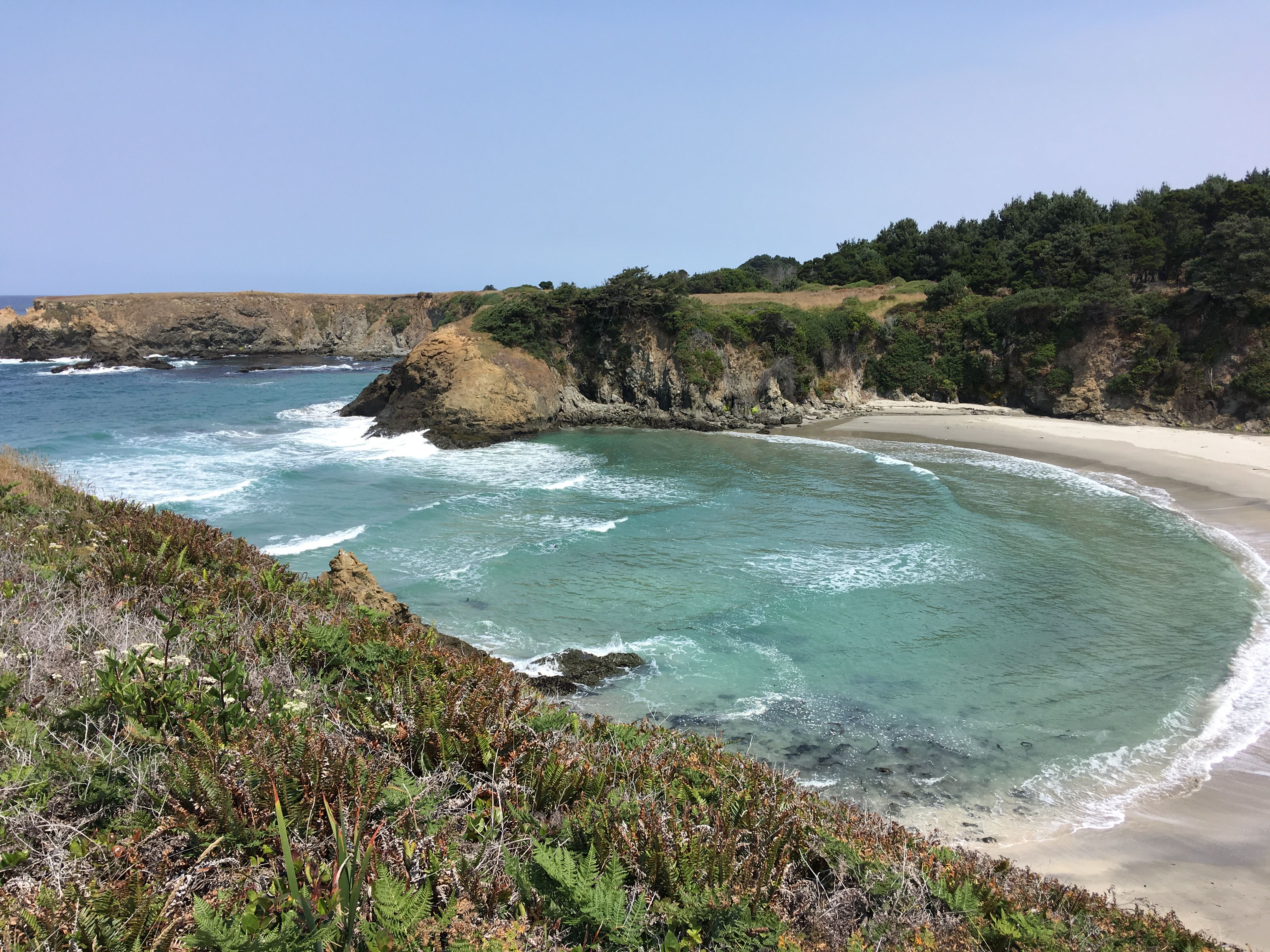 10 Things I Love About Mendocino California - Inspired Edibles